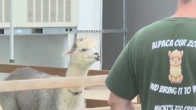 First Mental Health Wellness Fair at Atlanta Public Safety Training Center