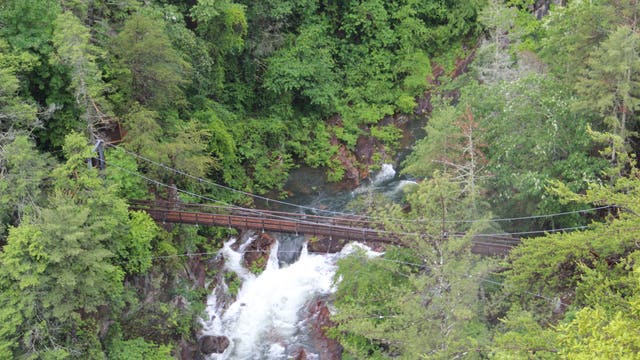 Top 10 Bucket List of Things You Must Do in Rabun County