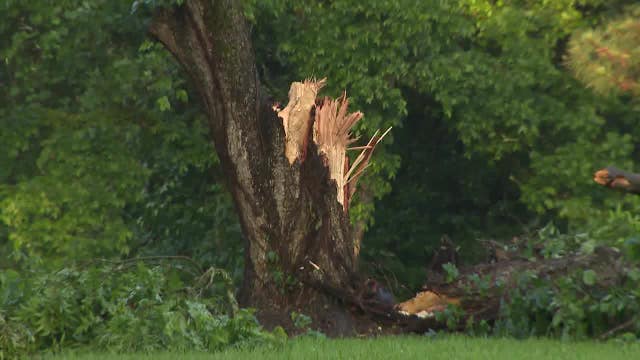 EF1 tornado confirmed in Spalding, Butts counties after Wednesday's storms