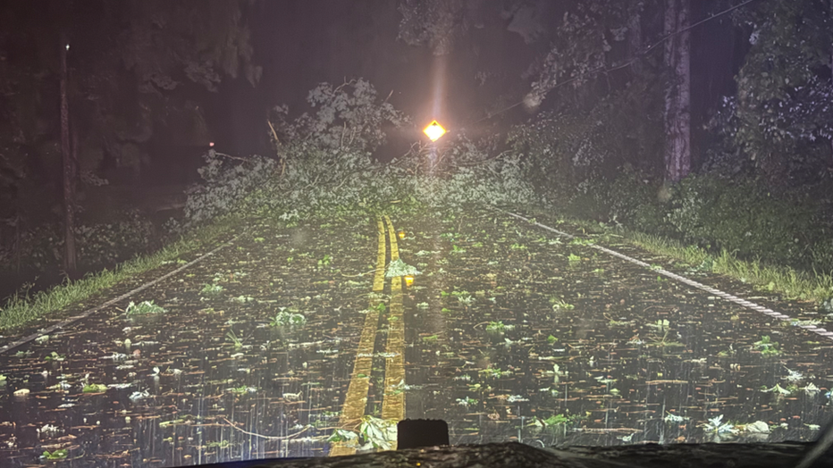 A tree blocks Reinhardt College Parkway near land Road in Cherokee County on May 21, 2025.