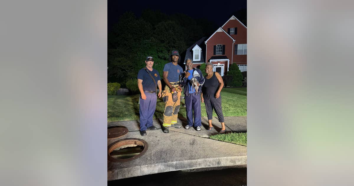 Henry County firefighters save blind dog from storm drain | FOX 5 Atlanta