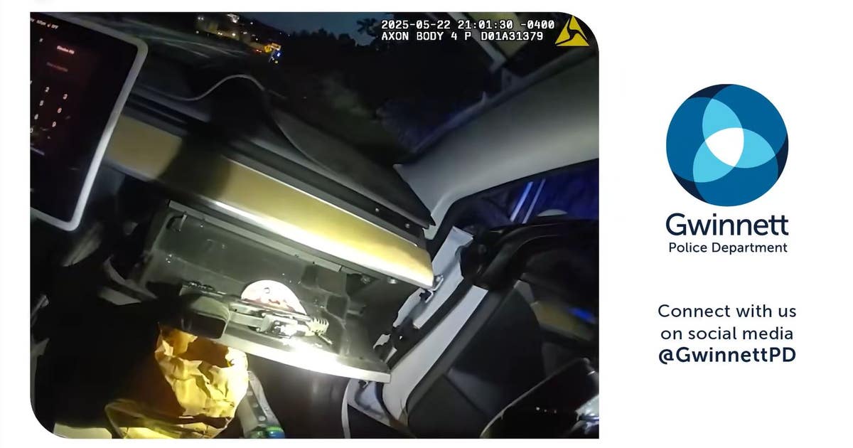 Traffic stop leads to drug, gun charges in Gwinnett County | FOX 5 Atlanta