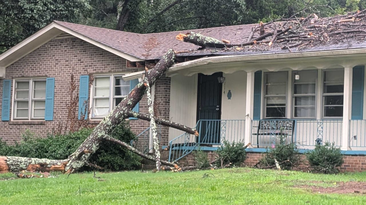 PHOTOS: Trees come crashing down during severe thunderstorms across metro Atlanta PHOTOS: Trees come crashing down during severe thunderstorms across metro Atlanta