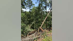 EF-1 tornado uproots trees, leaves behind damage in North Georgia