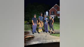 Henry County firefighters save blind dog from storm drain