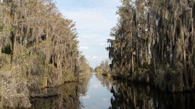 Planned mining project near Okefenokee Swamp halted with sale to conservation group