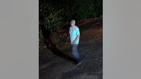 Dalton Police hunt for suspect in $2,500 tool theft at Christian school
