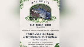 Tribute to famous Peachtree City alligator, Flat Creek Floyd, set for Friday