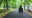 Peachtree City faces surge in teen crimes on multi-use paths: Theft, DUI, and pellet gun incidents