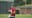 Kirk Cousins attends Atlanta Falcons minicamp