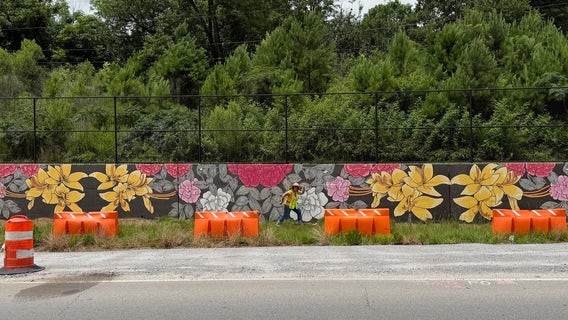 Athens unveils stunning 100-foot mural celebrating Georgia's flowers