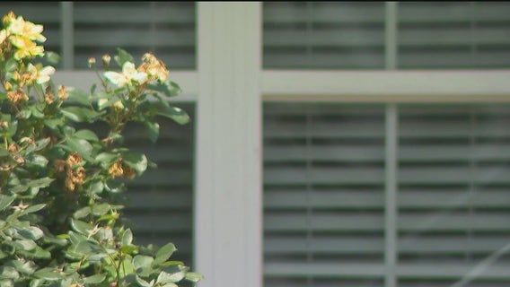 19-year-old killed by child with gun in Paulding County identified