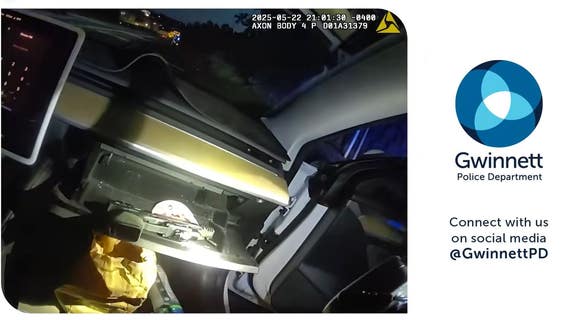 Traffic stop leads to drug, gun charges in Gwinnett County