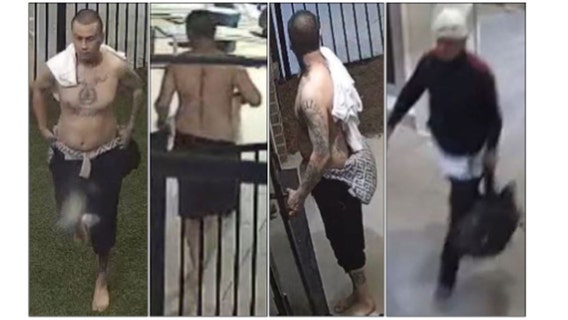 Attempted TV theft and package heist at Darnell Apartments