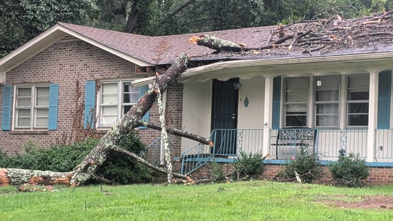 PHOTOS: Trees come crashing down during severe thunderstorms across metro Atlanta