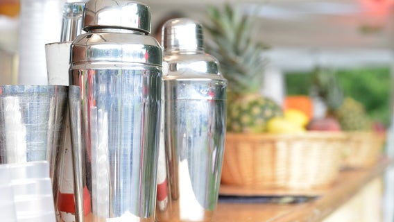 Georgia woman sues Florida bar over injury from dropped martini shaker