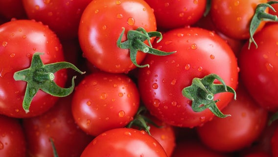 Tomato recall in Georgia now upgraded to highest alert level
