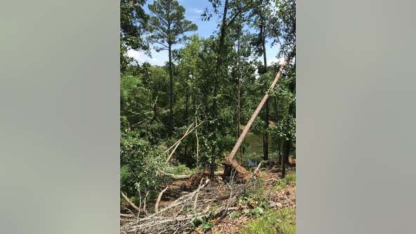 EF-1 tornado uproots trees, leaves behind damage in North Georgia