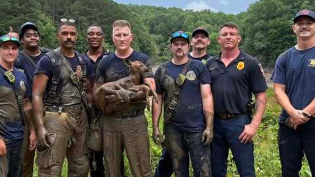 DeKalb Fire crews rescue fawn stuck in mud at Henderson Mill Park