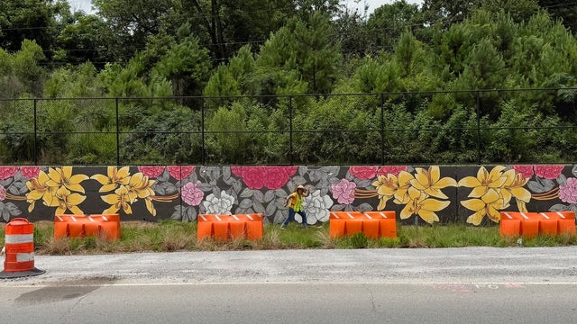 Athens unveils stunning 100-foot mural celebrating Georgia's flowers