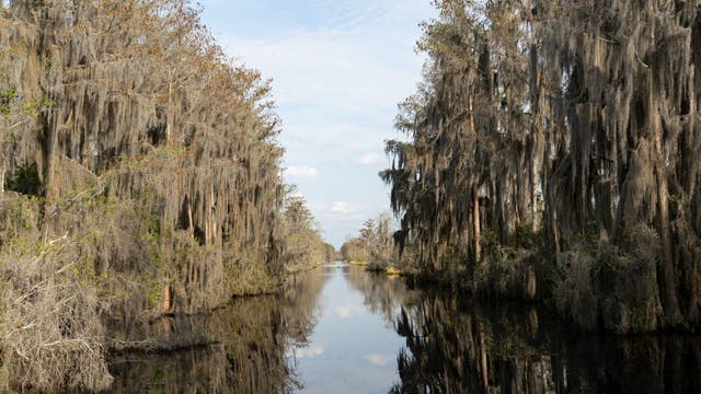 Planned mining project near Okefenokee Swamp halted with sale to conservation group