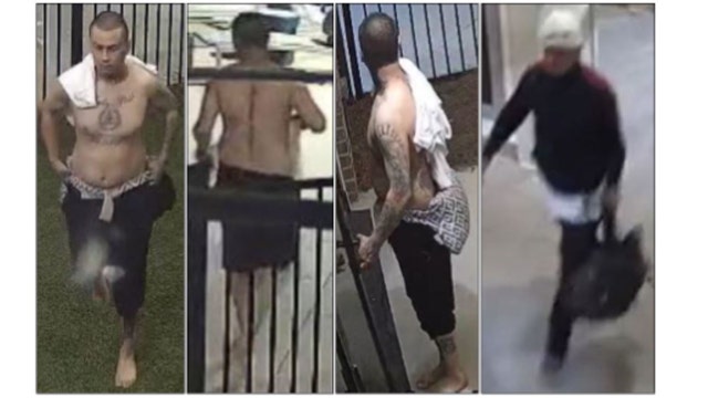 Attempted TV theft and package heist at Darnell Apartments