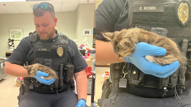 Rome officer rescues kitten found hanging from bike