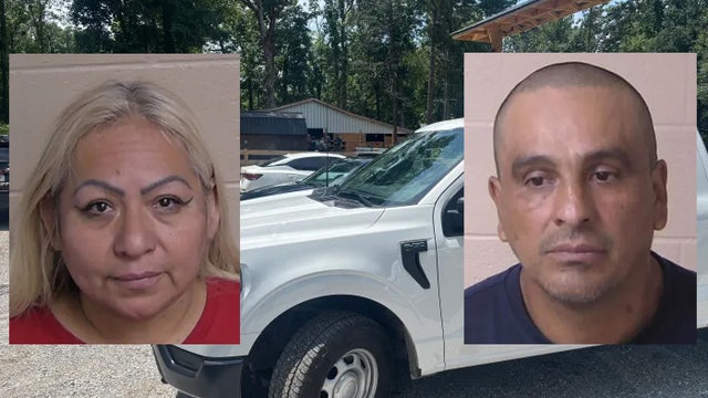 Welfare check reveals emaciated horses at Walker County property, officials say