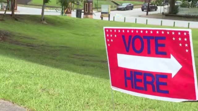 Running Georgia PSC runoff election could cost $100 per vote