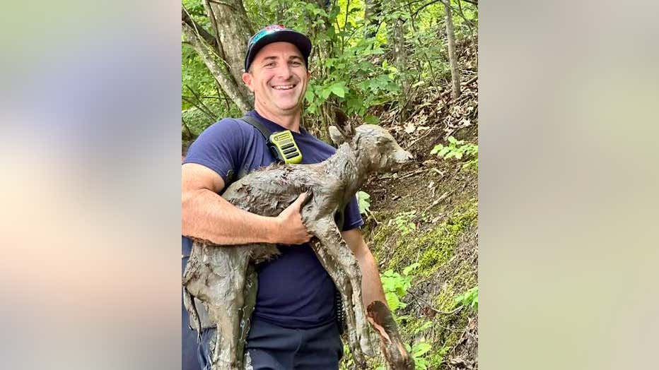The DeKalb County Fire Rescue Department rescued a trapped fawn at Henderson Mill Park on June 19, 2025.