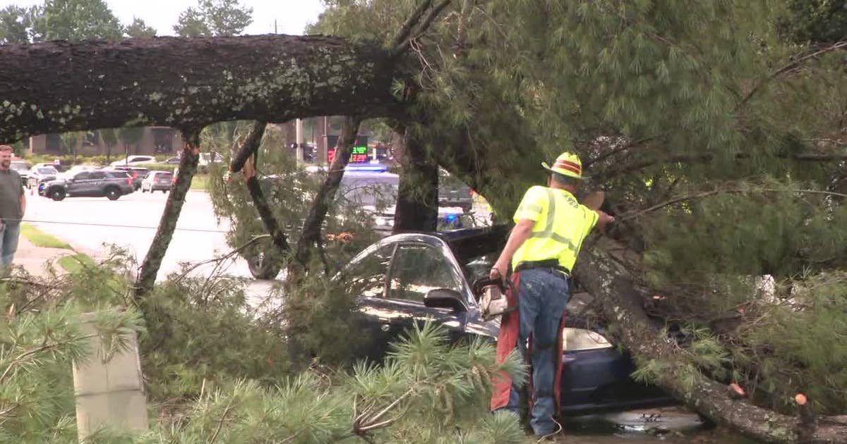 Tree falls on cars along Jimmy Carter Blvd. near Norcross | FOX 5 Atlanta