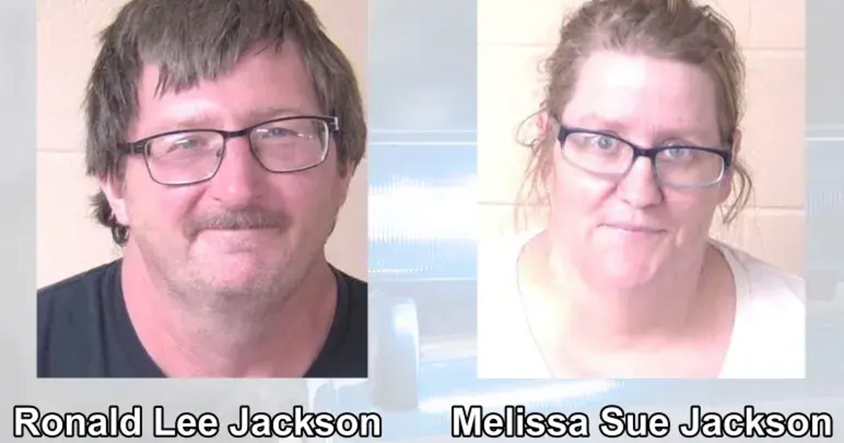 Georgia couple arrested after dead, neglected dogs found in Walker ...