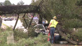 Tree falls on cars along Jimmy Carter Blvd. near Norcross