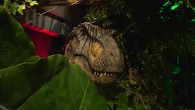 Scientists discuss fact vs. fiction of 'Jurassic World Rebirth'