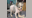 More than 250 animals rescued from Dade County home, shelter says