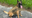 Monroe police K-9 officer receives body armor