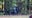 Driver killed after slamming into tree off Peachtree Parkway