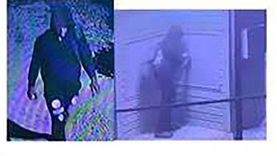 South Fulton Police request public's help in identifying mail thief