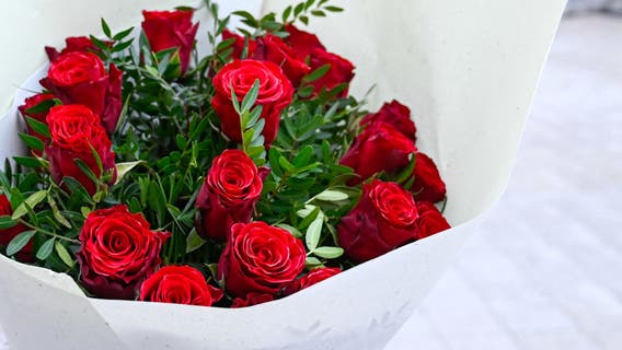 Fake Love, Real Fraud: Marietta man convicted in $3M romance scam