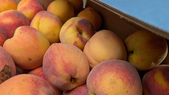 Annual PeachFest celebrates farm to table path of peaches