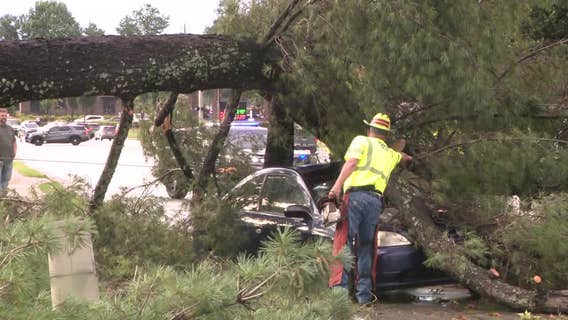 Tree falls on cars along Jimmy Carter Blvd. near Norcross