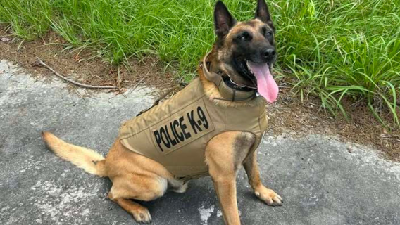 Monroe police K-9 officer receives body armor from nonprofit
