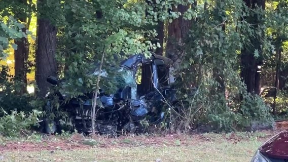 Driver killed after slamming into tree off Peachtree Parkway