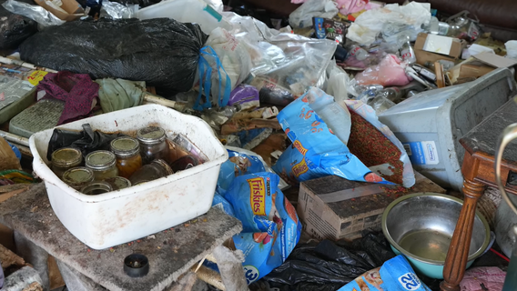 Dozens of cats, kittens found in filth; Catoosa County couple arrested