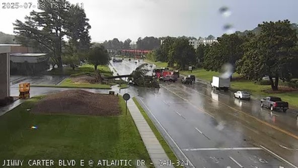 Tree falls on car along Jimmy Carter Blvd. near Norcross