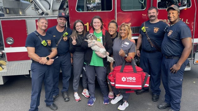 Roswell firefighters rescue puppy trapped in bathtub drain