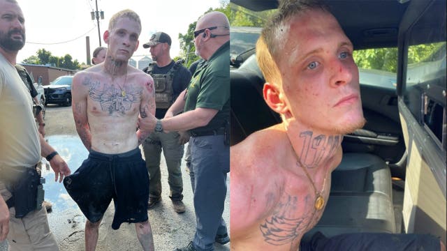 'Dangerous' felon arrested after 6-hour manhunt in Georgia, deputies say