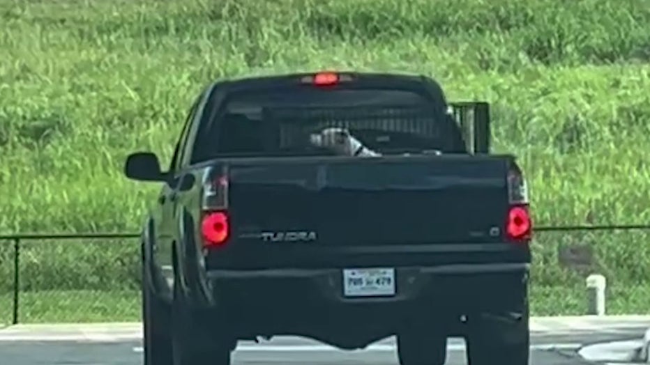Cobb County Animal Services says a dog was left in a wire crate in the bed of a scorching hot pick up truck.