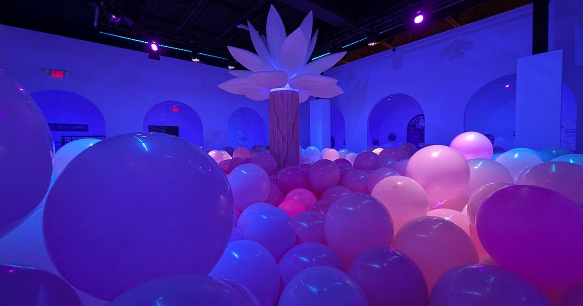Bubble Planet Officially Opens in Doraville: How Exhibition Hub Launched Its Newest Hit