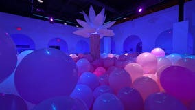 Bubble Planet experience really 'pops' in metro Atlanta